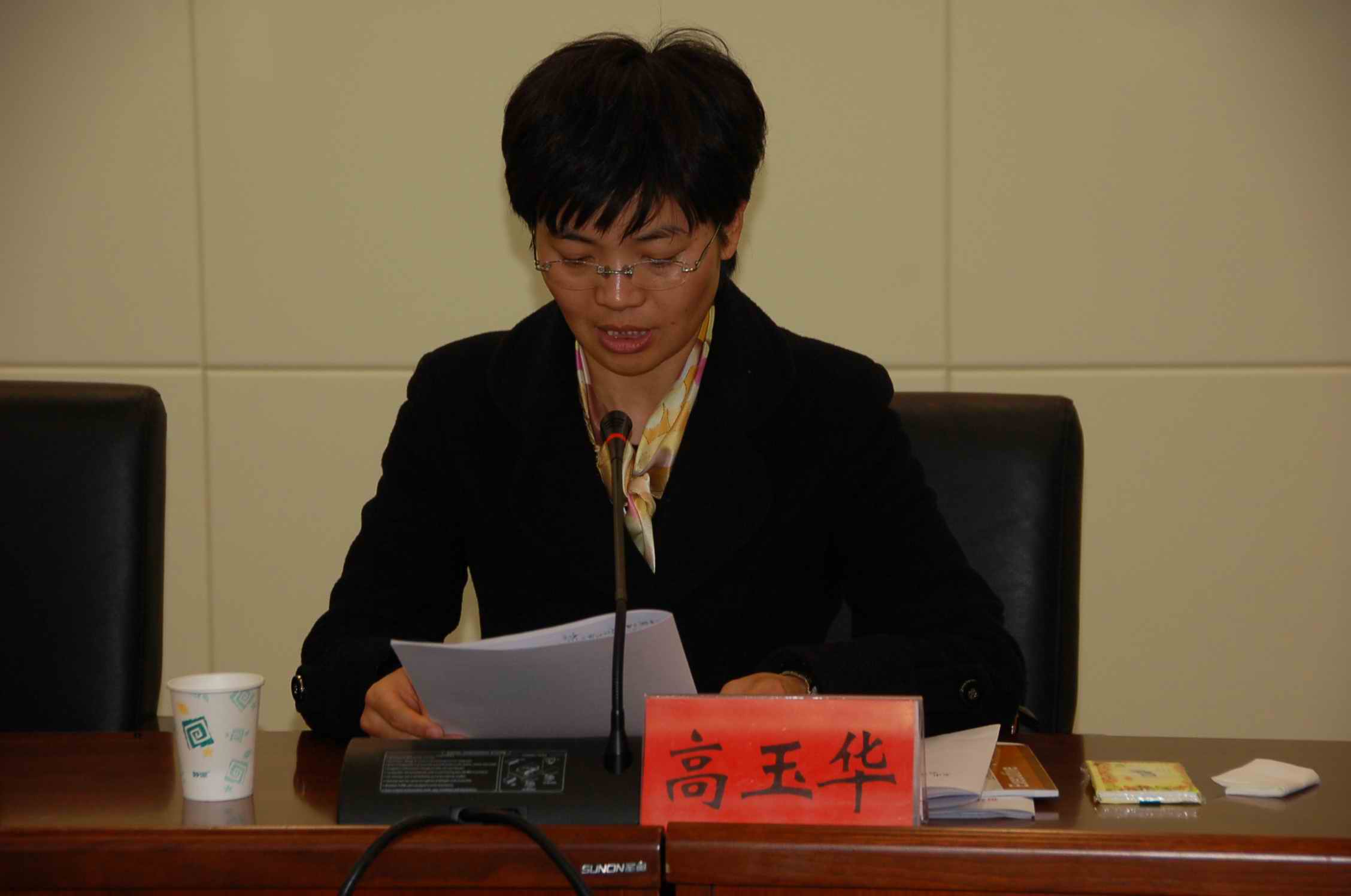 团市委书记高玉华作交流发言