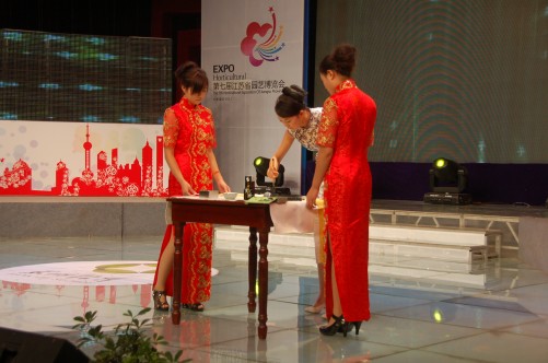 DSC_9505_conew1.jpg